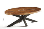 AYORA - Table basse Ovale en Bois de Manguier - 130 x 70 cm - Bois de Manguier Brun