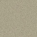Tissu QUELLE DAVIS coloris 06