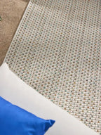 Tapis d'Intérieur et d'Extérieur en Polypropylène AGRA Crème / Bleu BENUTA