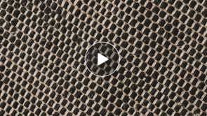 Tapis en Laine fait main ROCCO Crème