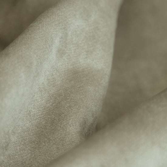 TERRA Tissu Velours, amis des animaux et Waterproof